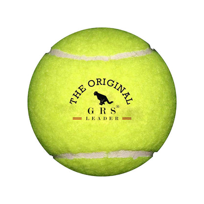 GRS Zone Heavy Grade Hard Plastic Cricket Bat with Wicket Set Floro & 1 Tennis Ball for Kids (Size 3, Age 6-10 Year Old Kids), Strong Plastic